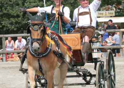 Bundeschampionat Haflinger Kathrin Karosser